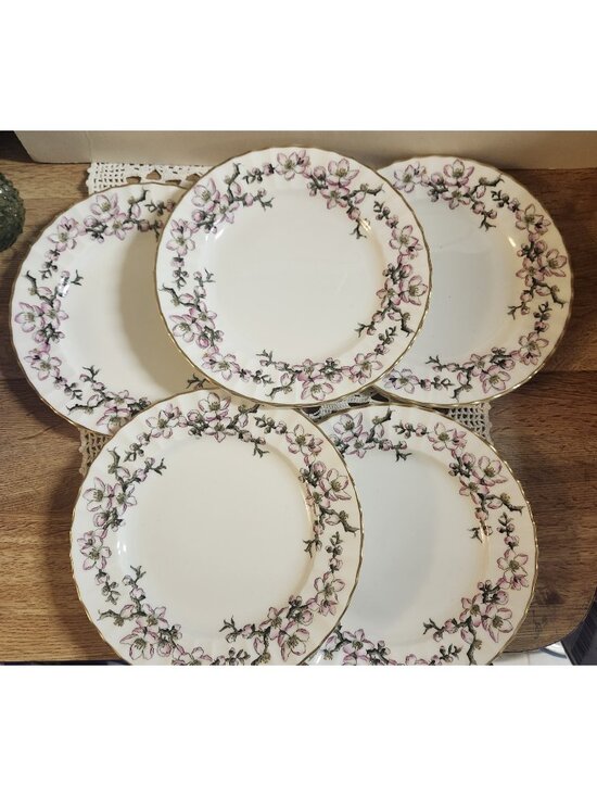 Royal Worcester Other - 5- Royal Worcester 8" Lunch Plates Pomerina - Rare Print - Pink Floral Vintage